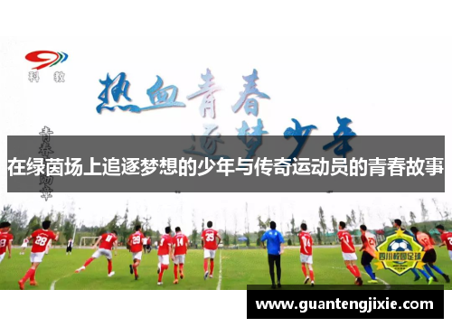 在绿茵场上追逐梦想的少年与传奇运动员的青春故事